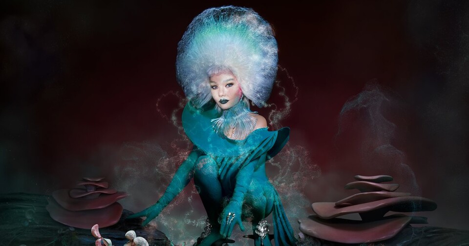 Header_V2_Nieuwsbericht_DIVA